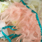 Ангел - Todanua Internacional